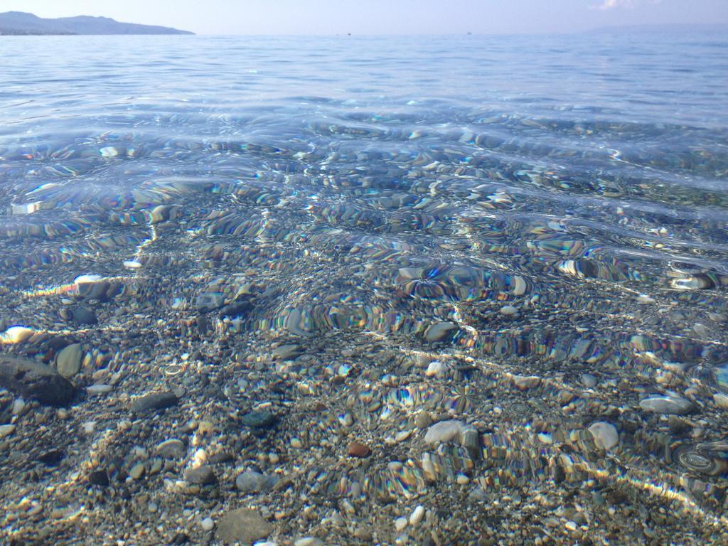 Verga & * Kalamata